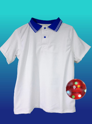 CAMISETA BLANCA CON CUELLO AZUL
